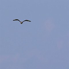 IMG_8671