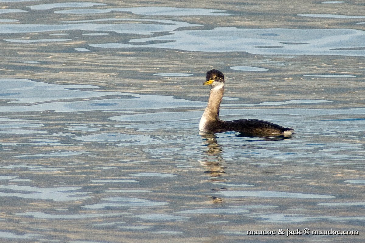 IMG_7757.jpg - Lake Garda, Italy